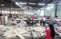 Gỗ Trường Thành đang nỗ lực mở rộng thị trường xuất khẩu