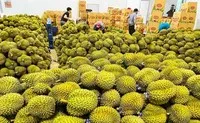 Doanh nghiệp rau quả đặt mục tiêu xuất khẩu 8 tỷ USD