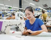 Một số doanh nghiệp dệt may bắt đầu sử dụng điện mặt trời mái nhà để giảm chi phí điện