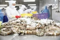 Doanh nghiệp thuỷ sản hưởng lợi gì khi ông Trump tái đắc cử Tổng thống Hoa Kỳ