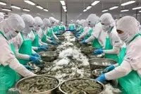 Nhiều các quy định mới đang được EU đưa ra, mục tiêu đảm bảo cho chuỗi cung ứng trở nên minh bạch và bền vững hơn.