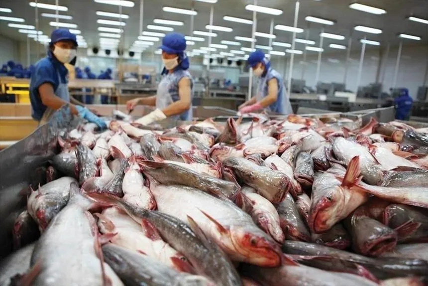 Doanh thu Vĩnh Hoàn (VHC) đạt 838 tỷ đồng trong tháng 2/2026