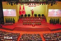 PGS-TS. Nguyễn Đình Thọ, Phó viện trưởng Viện Chiến lược, Chính sách nông nghiệp và môi trường (Bộ Nông nghiệp và Môi trường)