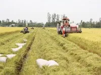Ðồng Tháp hướng đến nền nông nghiệp sinh thái xanh bền vững