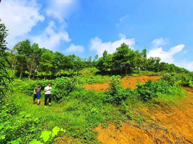 Tâm lý FOMO thúc đẩy nhà đầu tư gom đất ồ ạt. Ảnh: Dũng Minh.