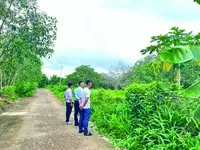 Nhà đầu tư đi săn đất nền. Ảnh: Vũ Dũng.
