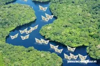 Dòng tiền khác chảy mạnh vào trái phiếu chính phủ
