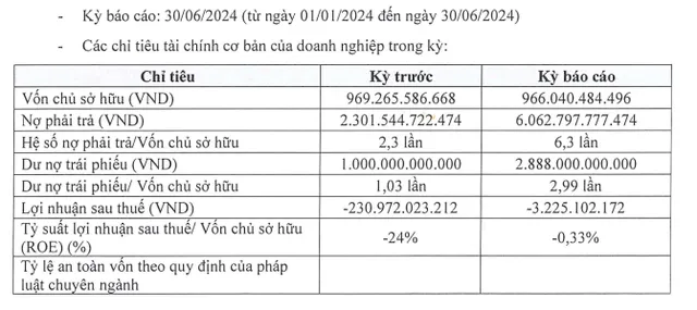 Thông tin tài chính nửa đầu năm 2024 của Hưng Thịnh Phát