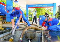 Gần 1.000 cửa hàng xăng dầu PVOIL đã sẵn sàng kinh doanh xăng E10