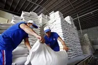 Số liệu của Bộ Nông nghiệp và Môi trường cho thấy, tỷ lệ gạo chất lượng cao của Việt Nam chiếm tới 89%.