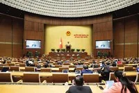 Bộ trưởng Bộ Nông nghiệp và Môi trường Trần Đức Thắng giải trình tại Quốc hội