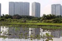 Giá đất nông nghiệp ở khu vực TP.HCM dự kiến tăng cao nhất gần 78%. Ảnh: Lê Toàn.