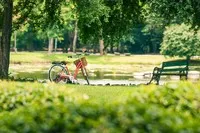 Ảnh: Shutterstock.