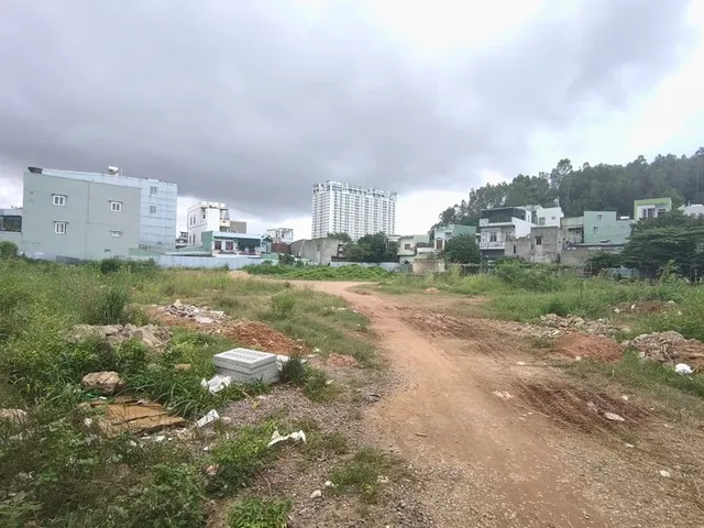 Bên trong khu đất số 1006 Trần Hưng Đạo, phường Quy Nhơn, tỉnh Gia Lai (trước đây là phường Đống Đa, TP. Quy Nhơn, tỉnh Bình Định). Ảnh chụp tháng 11/2024.