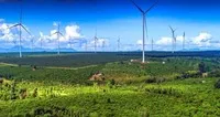32 dự án điện gió sắp được tỉnh Gia Lai đưa ra đấu thầu lựa chọn nhà đầu tư chủ yếu tại các xã tại khu vực phía Tây. Ảnh minh họa.