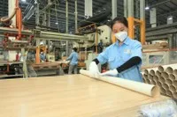 Gỗ An Cường (ACG): Trước thềm Đại hội đồng cổ đông người của quỹ VinaCapital xin từ nhiệm