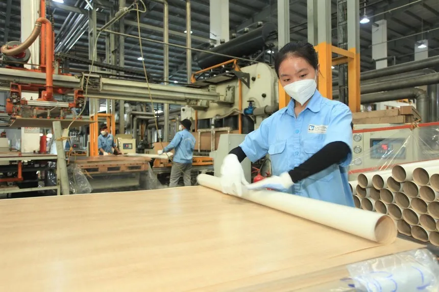 Gỗ An Cường (ACG): Trước thềm Đại hội đồng cổ đông người của quỹ VinaCapital xin từ nhiệm