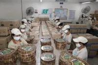 Gỗ Đức Thành (GDT) bị phạt 202,5 triệu đồng do vi phạm nghĩa vụ công bố thông tin và giao dịch nội bộ