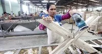 Gỗ Trường Thành (TTF): Miễn nhiệm chức vụ của ông Mai Hữu Tín tại hai công ty con