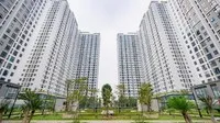 Ecohome 3 vẫn còn 157 căn nhà ở xã hội cho thuê sẽ chuyển bán trong tương lai. Ảnh: Chủ đầu tư Capital House
