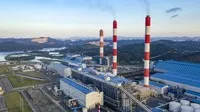Hạn ngạch phát thải và tín chỉ carbon là hai loại hàng hóa chính trên thị trường carbon Việt Nam.