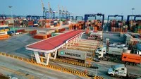 Hải Phòng phấn đấu đến năm 2045 trở thành trung tâm khoa học biển hàng đầu cả nước, có vai trò dẫn dắt trong khu vực Châu Á - Thái Bình Dương