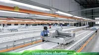 Hai “trục xoay” nâng hiệu quả doanh nghiệp