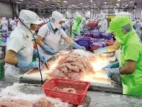 Khi cạnh tranh thương mại gay gắt, các tập đoàn đa quốc gia có xu hướng chuyển dịch sản xuất sang Việt Nam