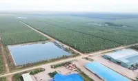 Hoàng Anh Gia Lai (HAG) đã trả bớt được thêm 200 tỷ đồng trái phiếu phát hành năm 2016