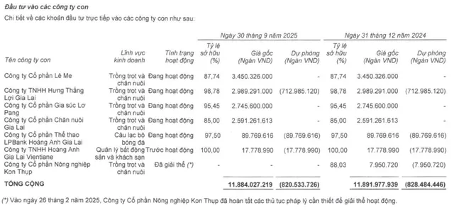 HAG lên kế hoạch niêm yết hai công ty con