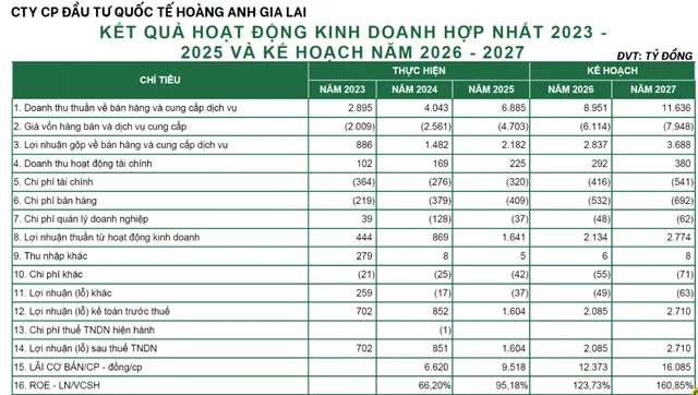 Các chỉ tiêu tài chính của CTCP Đầu tư quốc tế Hoàng Anh Gia Lai
