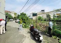 Khách và sales bất động sản đang xem một lô đất nền.