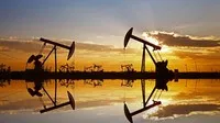 IEA: Nhu cầu dầu của Trung Quốc sẽ đạt đỉnh sớm hơn dự kiến