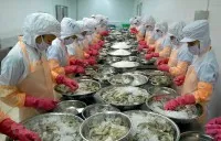 Thương mại hàng hóa của Việt Nam với châu Mỹ phục hồi mạnh, 9 tháng năm 2024 đạt trên 120 tỷ USD.