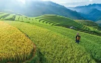 Chính sách tín dụng ưu tiên “phủ sóng” địa bàn nông thôn, miền núi
