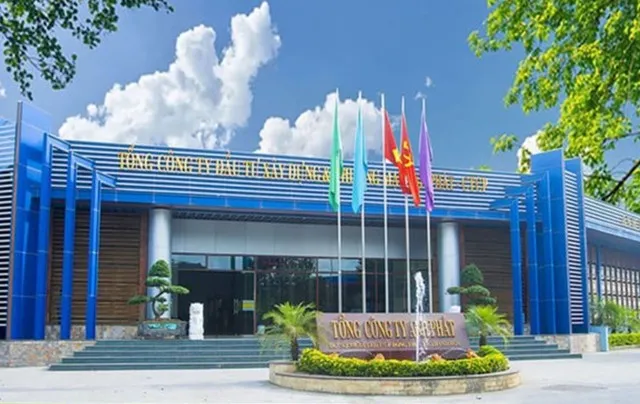Tổng công ty Anh Phát hoạt động đa lĩnh vực, bao gồm nhiều công ty trực thuộc.