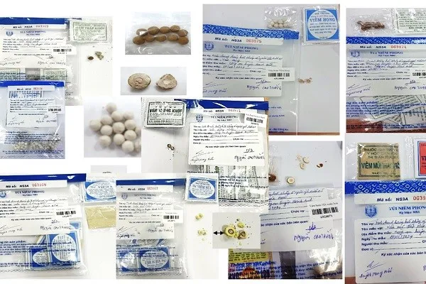 14 mẫu thuốc gia truyền do đơn vị thuộc công an tỉnh Đồng Tháp bắt giữ năm 2024. Trong 14 mẫu, có 13 mẫu bị phát hiện có pha trộn thuốc tân dược, có mẫu trộn từ 2-3 loại tân dược. (Ảnh: Viện Kiểm nghiệm thuốc TP.HCM)