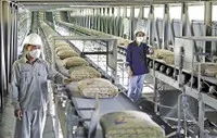 Các quy định chồng chéo, phức tạp và không cần thiết cần được cắt bỏ để tạo điều kiện thuận lợi cho doanh nghiệp phát triển (Ảnh: Dũng Minh)