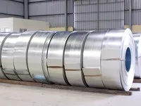Việt Nam vừa áp thuế chống bán phá giá tạm thời thép mạ xuất xứ từ Trung Quốc và Hàn Quốc.
