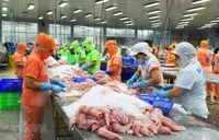 Kim ngạch xuất khẩu cá tra 9 tháng ước tăng trưởng 8%