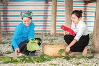 “Làm mới” bảo hiểm nông nghiệp