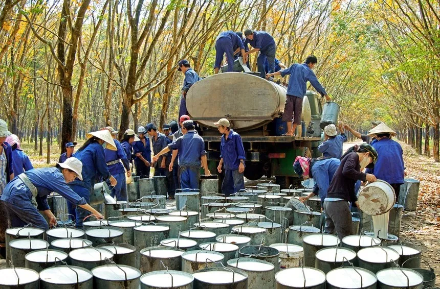 Lãnh đạo Cao su Phước Hoà (PHR) đăng ký mua vào cổ phiếu sau nhịp giảm 14,9%