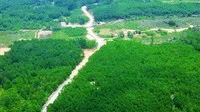 Một khu vực đất trồng rừng tại thôn Thủy Dương, xã Lộc Tiến (nơi Công ty TNHH Lộc Lợi khai thác đất trái phép). Ảnh: L.N