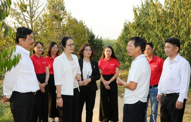 Agribank chào bán trái phiếu ra công chúng năm 2022 là sử dụng để tăng vốn cấp 2, tạo thêm nguồn vốn dài hạn đáp ứng nhu cầu vay vốn của các khách hàng cá nhân và tổ chức... như hộ nông dân Bùi Văn Quyển, xã Ya Ly, huyện Sa Thầy, tỉnh Kon Tum.