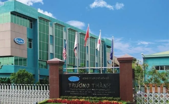 Lỗ luỹ kế 3.250,5 tỷ đồng, Gỗ Trường Thành (TTF) tiếp tục không trả cổ tức năm 2025