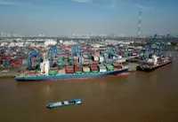 Nhiều doanh nghiệp vận tải mở rộng các tuyến dịch vụ và gia tăng đội tàu