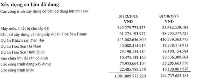 Cơ cấu xây dựng cơ bản dở dang của Hoa Sen tại thời điểm 31/12/2025.
