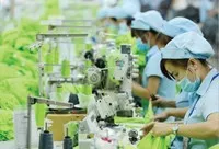 Lợi nhuận ngành dệt may: Tích cực chiếm ưu thế