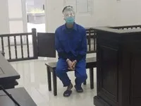 Luật tại tòa.