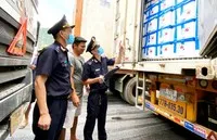Công chức Hải quan Tân Thanh kiểm tra vải tươi xuất khẩu. (Ảnh: H.Vân)